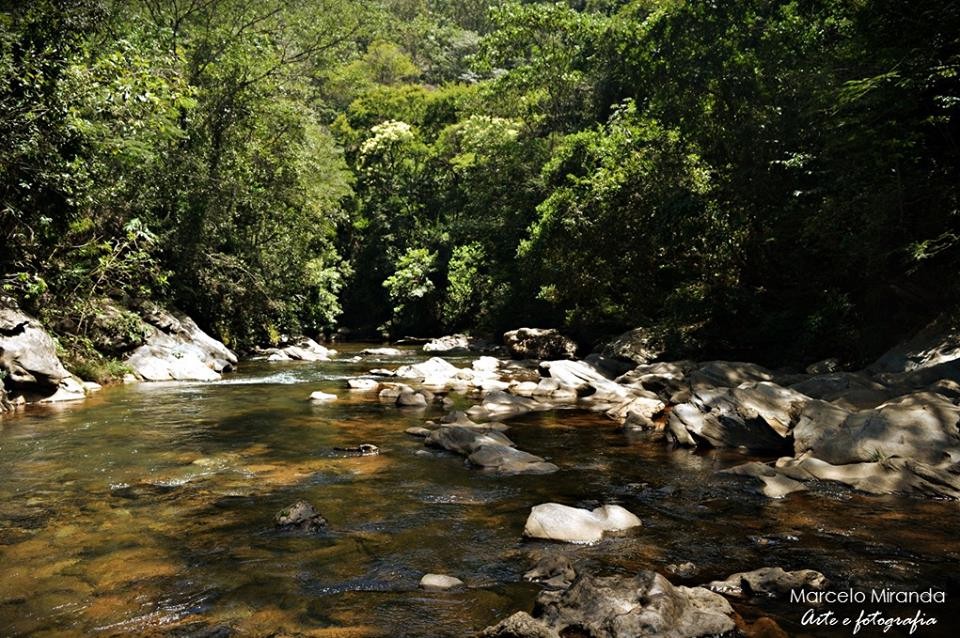 Manancial do Ribeirão da Prata