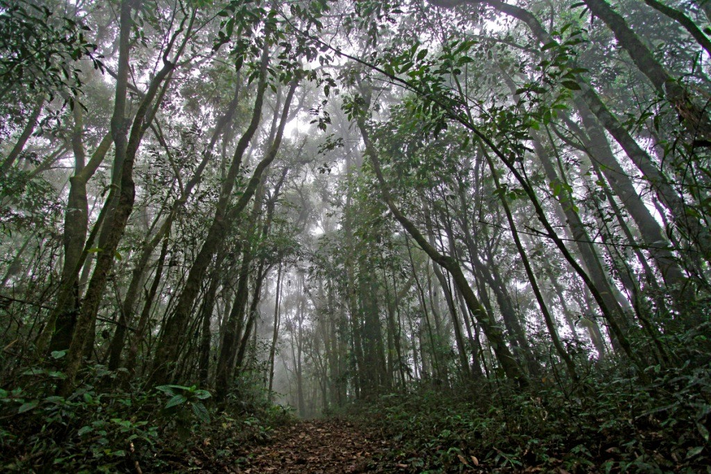 Serra do Lopo