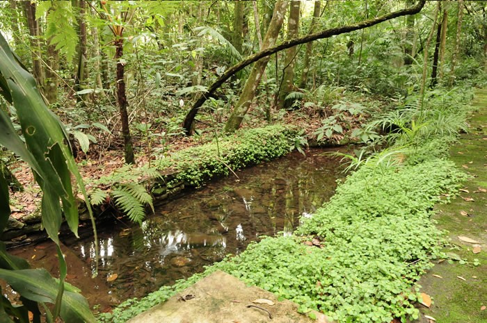  Estância Água Mineral VIva
