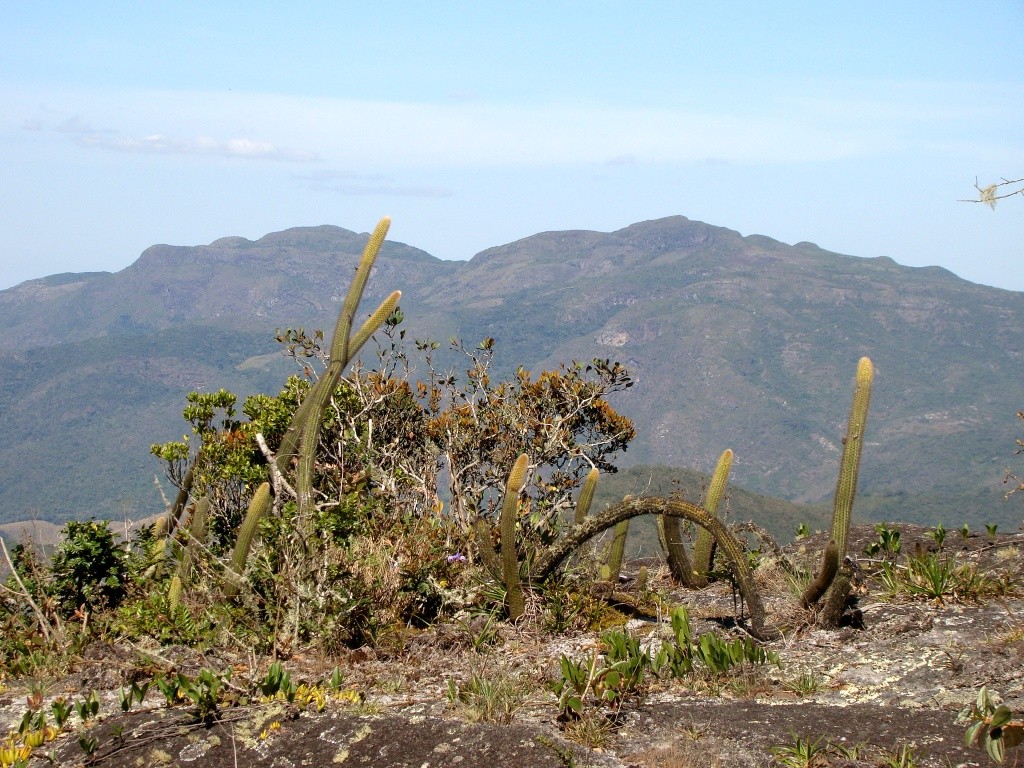 Parque Estadual Serra Negra da Mantiqueira