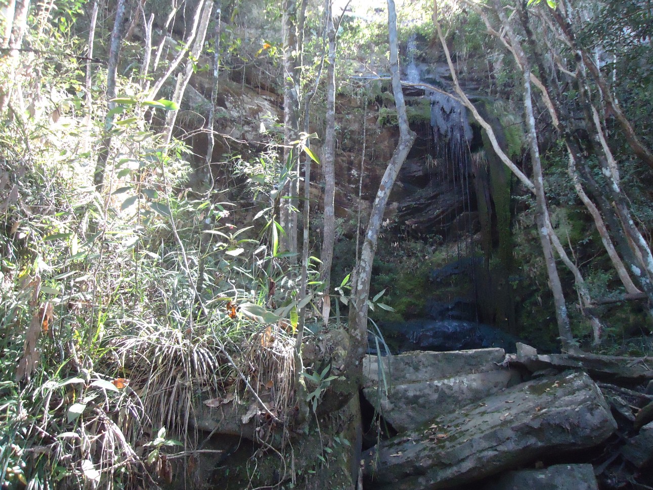Cachoeira dos Dreads