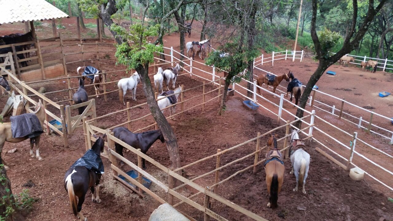 Encosta da Serra da Moeda