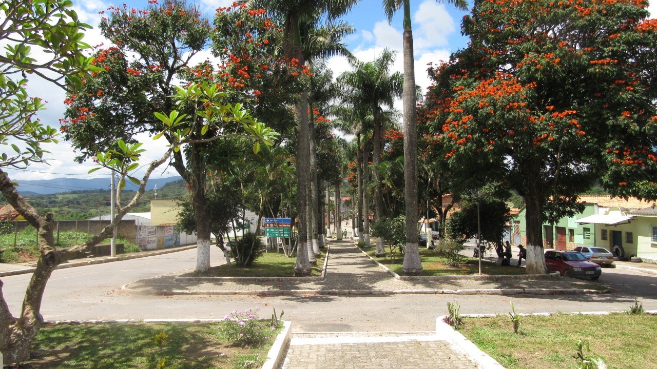 Aranha
