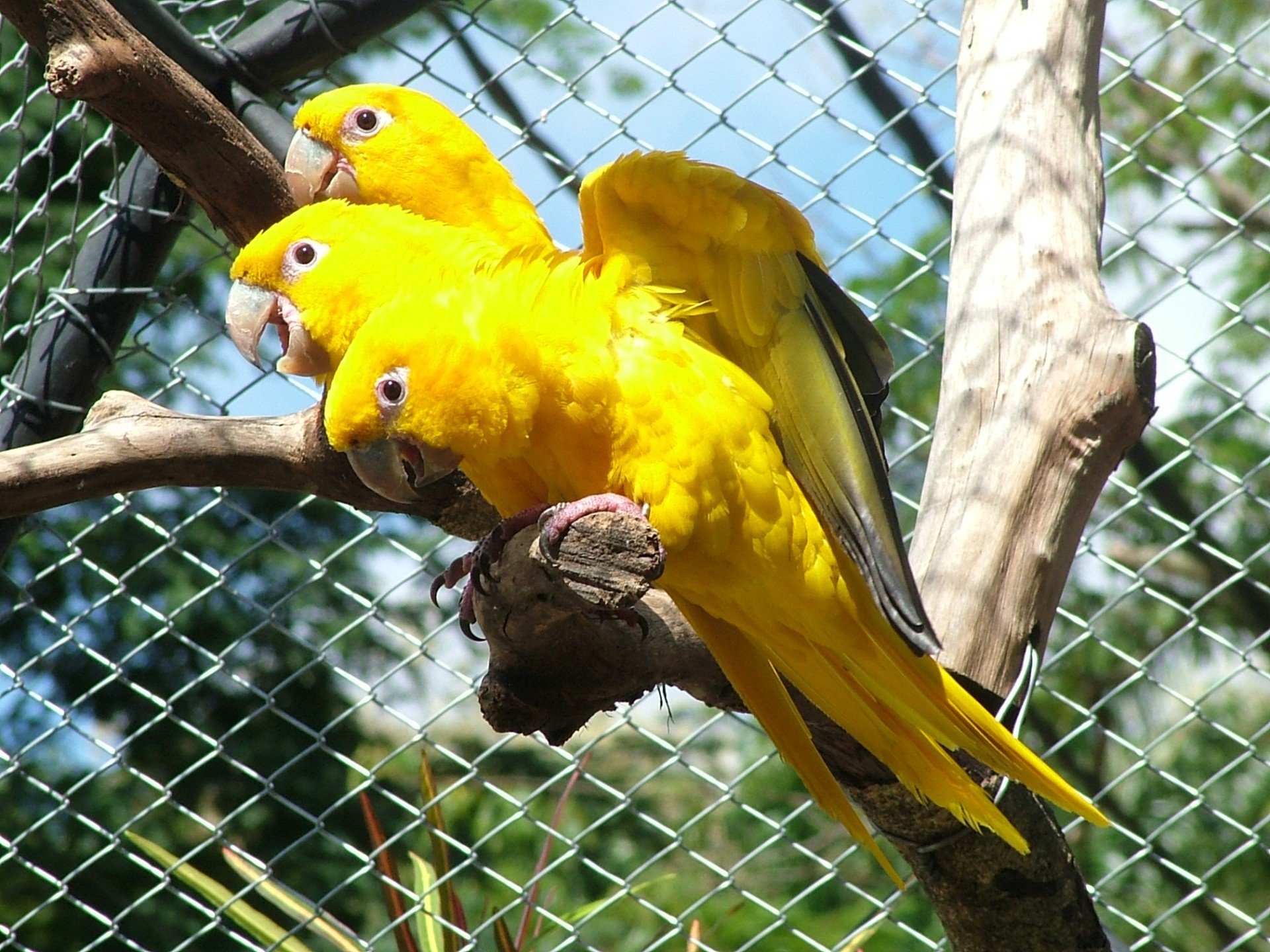 Zoológico