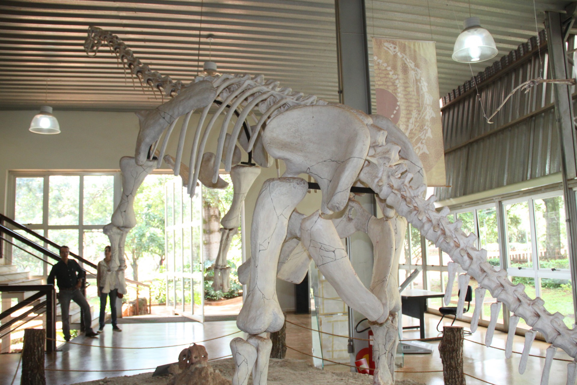 Museu dos Dinossauros