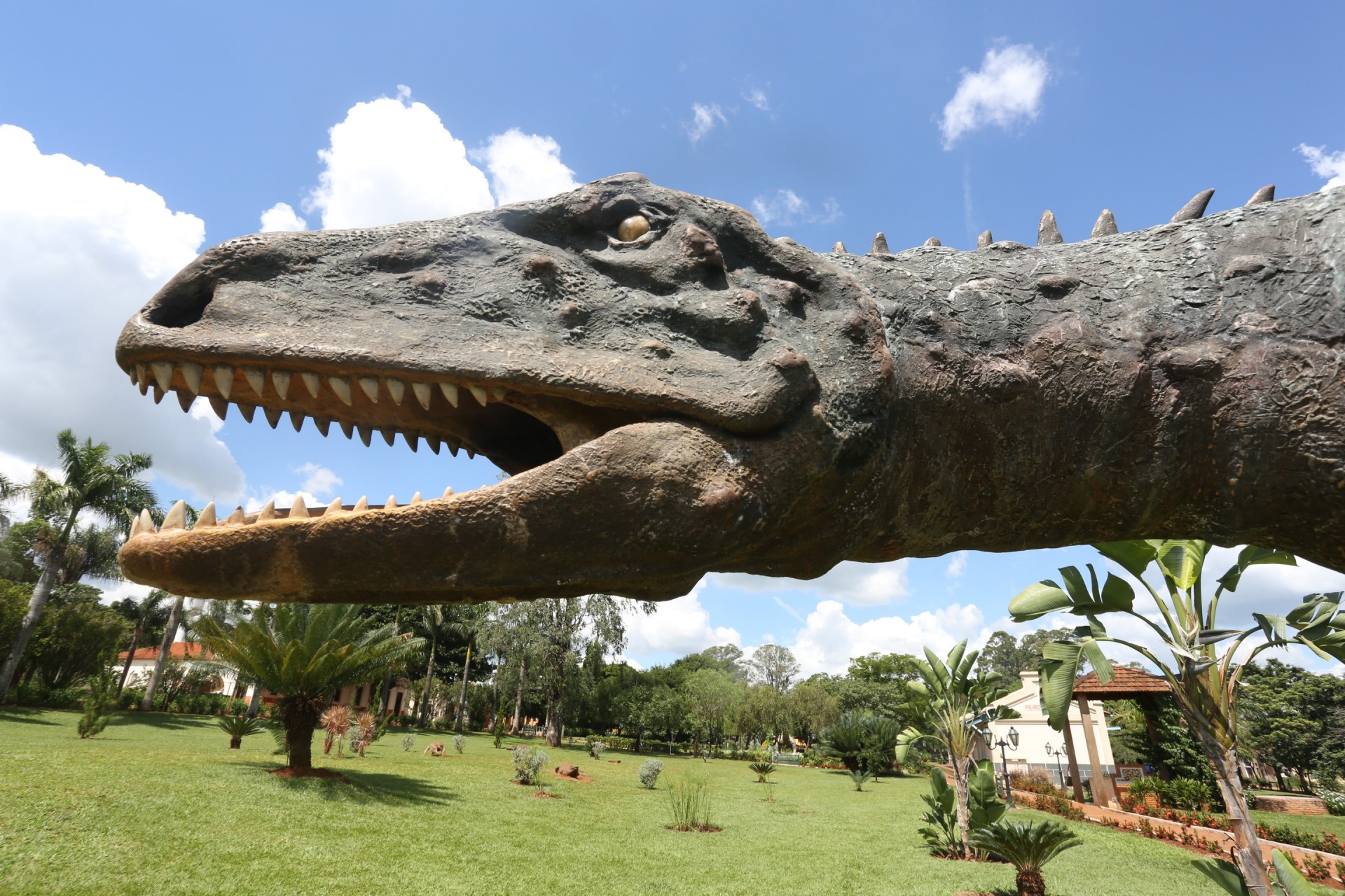 Museu dos Dinossauros