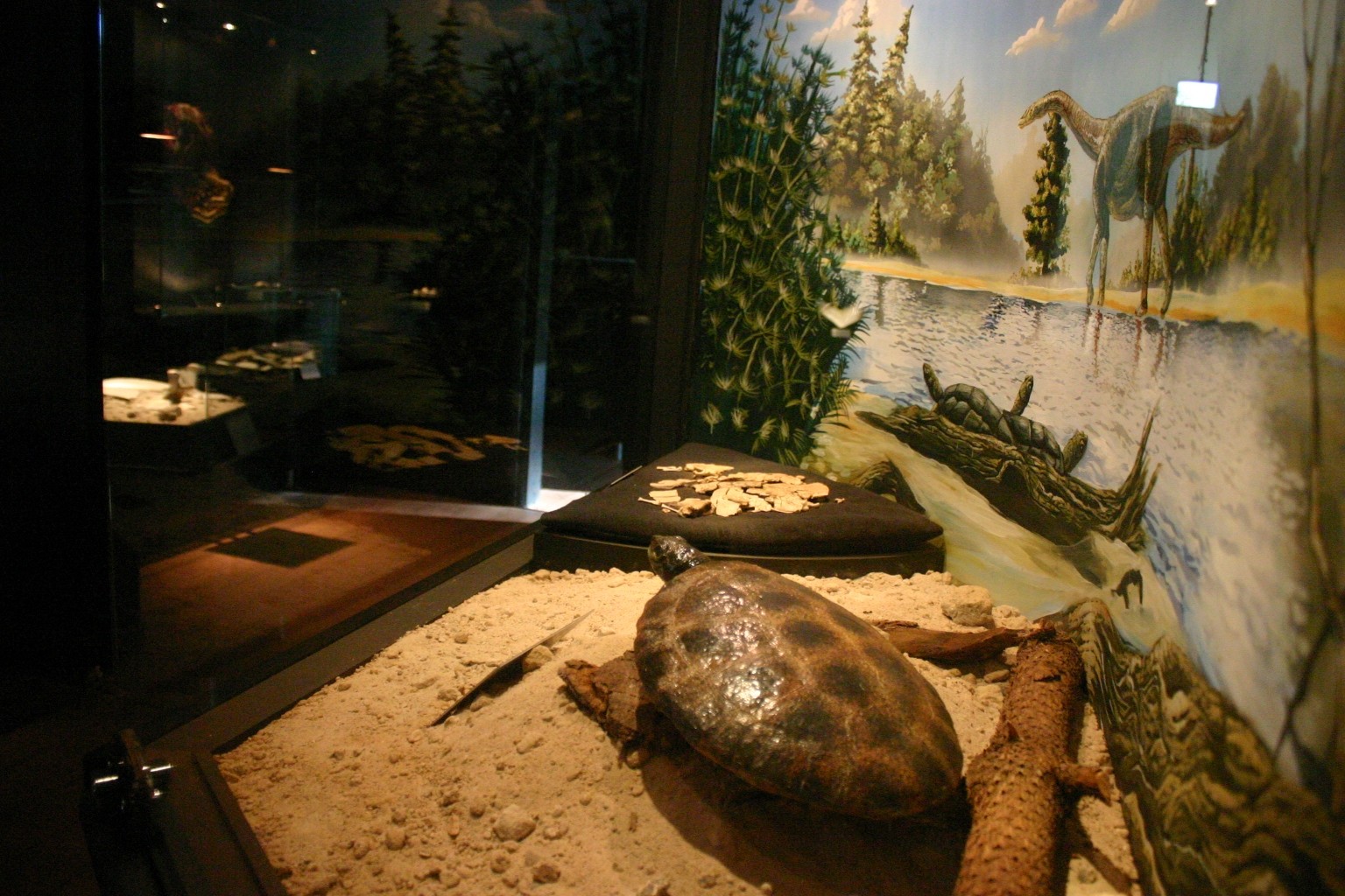 Museu dos Dinossauros