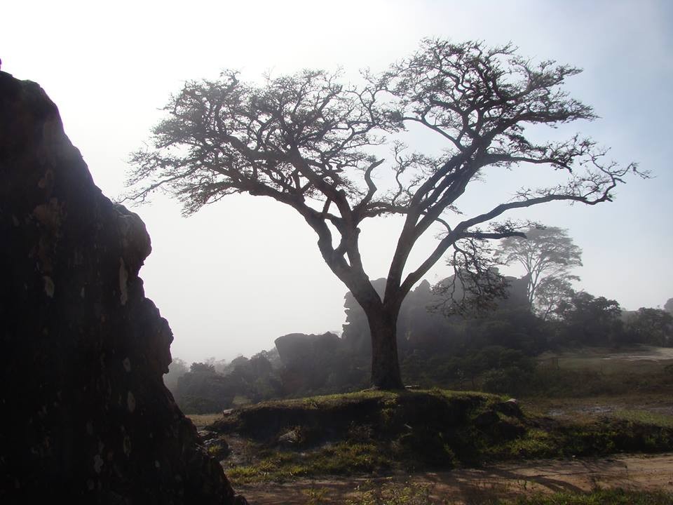 Serra do Lenheiro