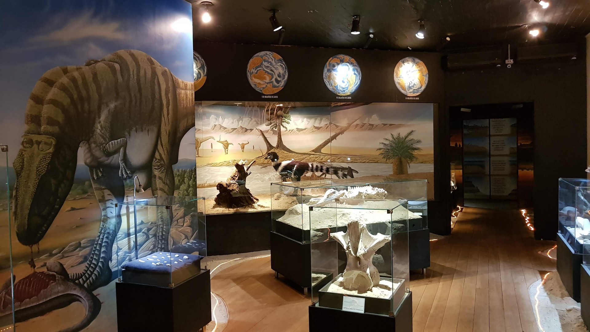 Museu dos Dinossauros