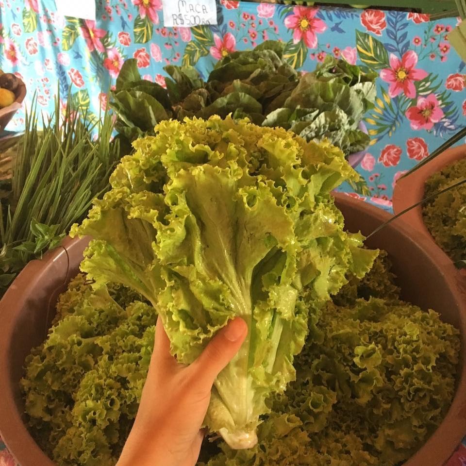 Mercadinho Tá Caindo Fulô 
