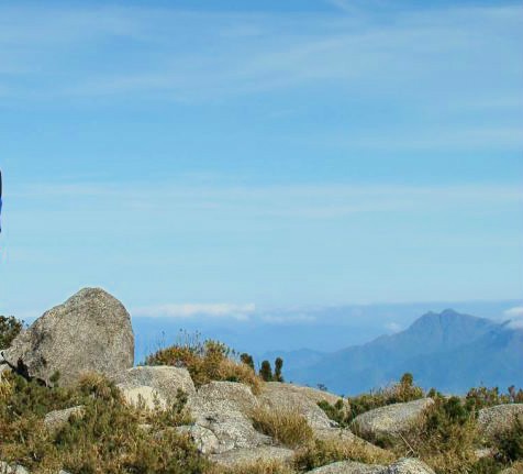 Araucária Ecoturismo