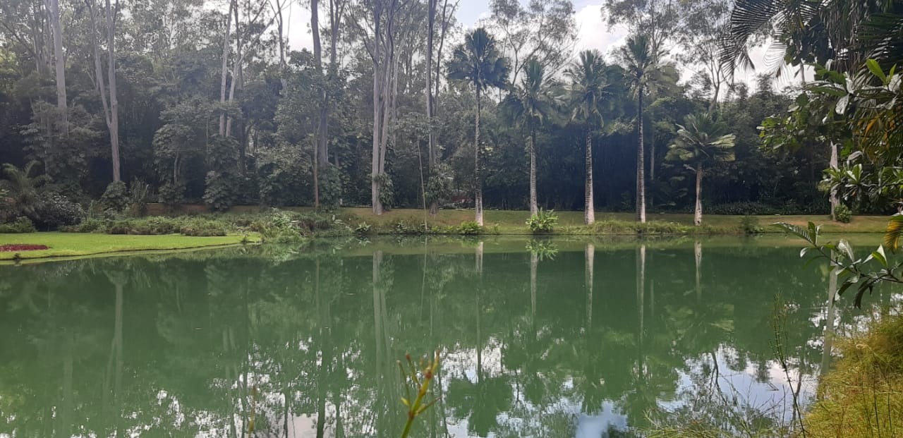 Espinhaço Operadora