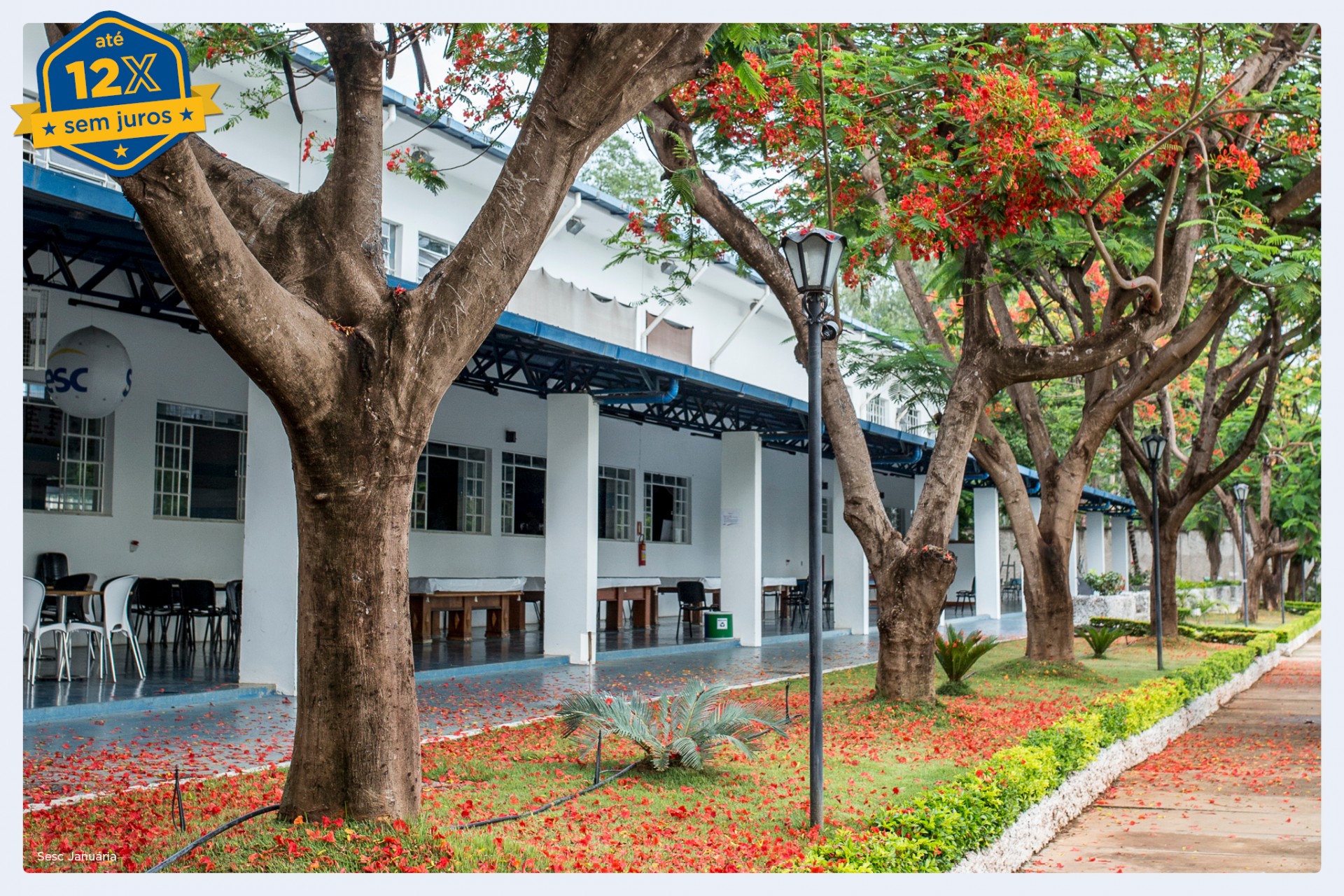 SESC 