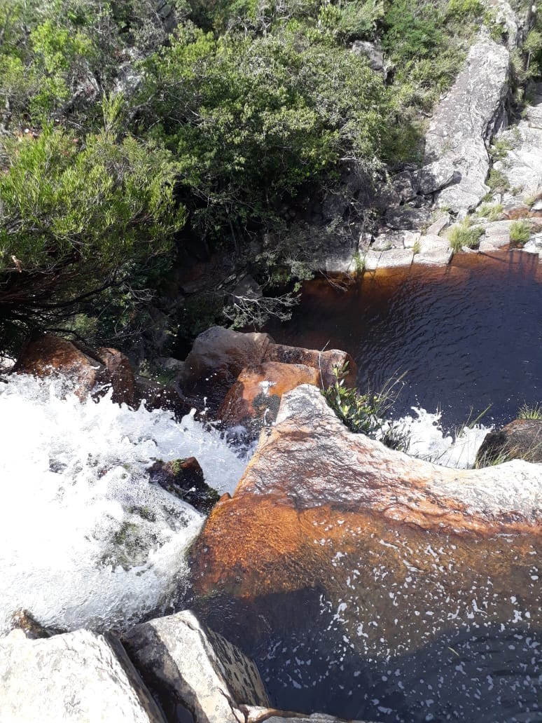 Lagoa Dourada