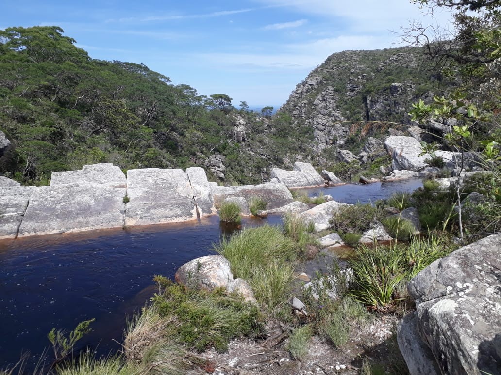 Lagoa Dourada