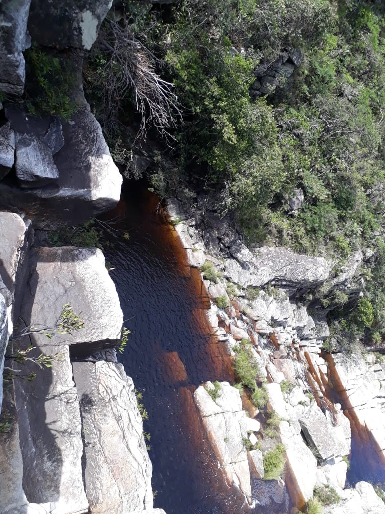 Lagoa Dourada