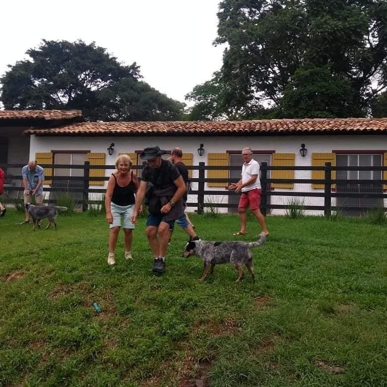 Desbrava Minas 