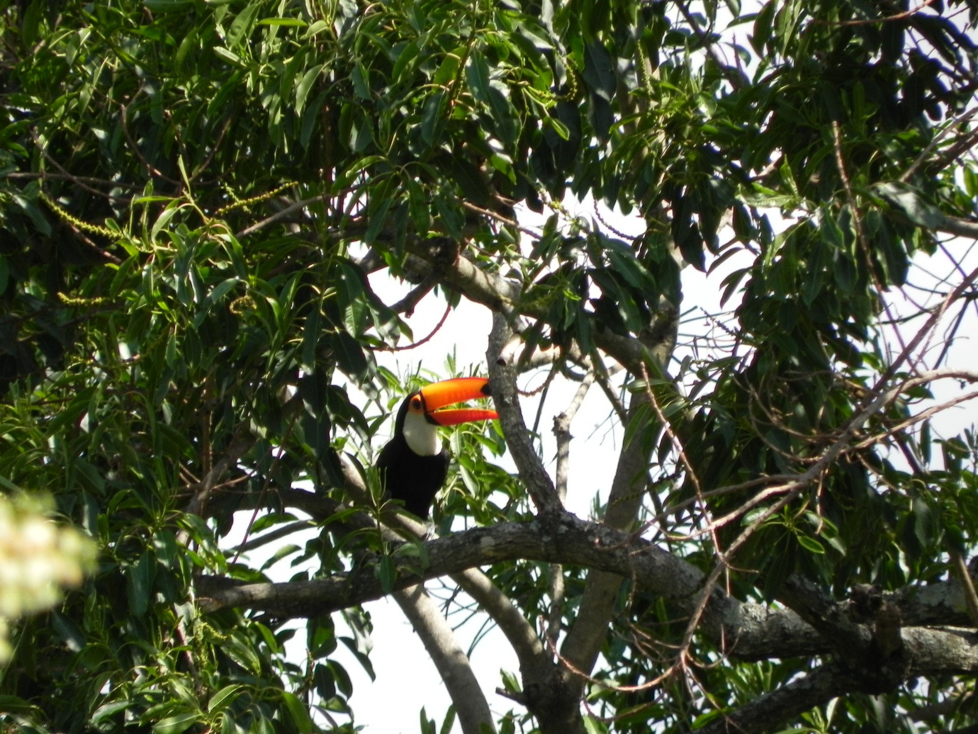 Mantiqueira Ecoturismo