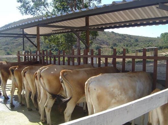 Fazenda du Japa