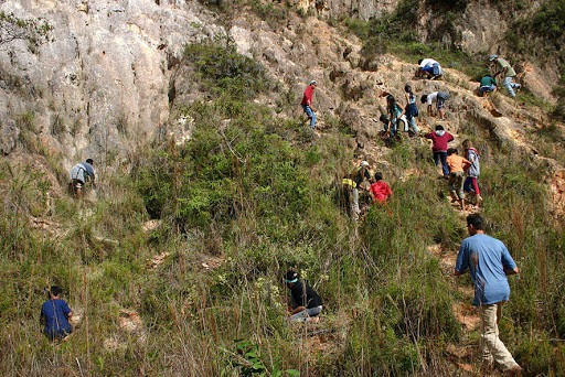 Voçorocas do Córrego do Cravo