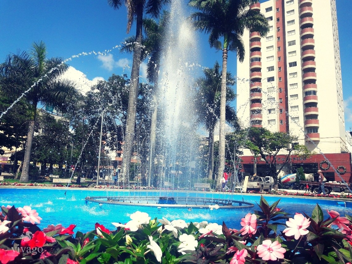 Praça de Palmeiras