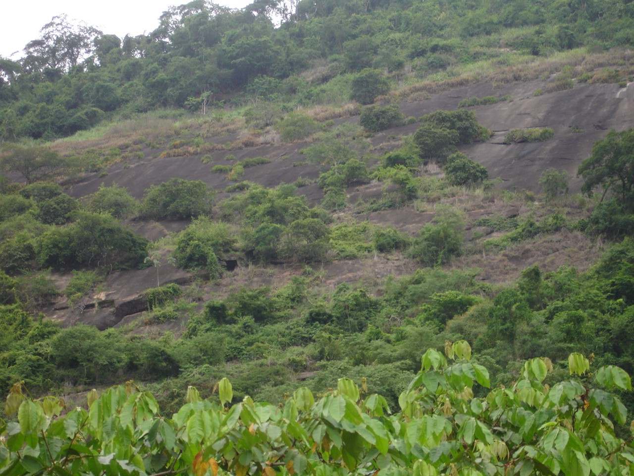 Pedra do Cedro