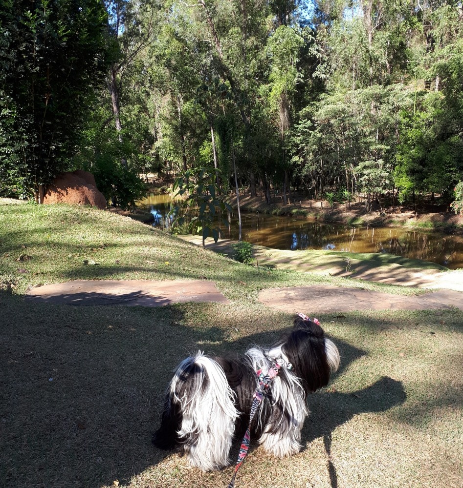 Parque Ecológico  
