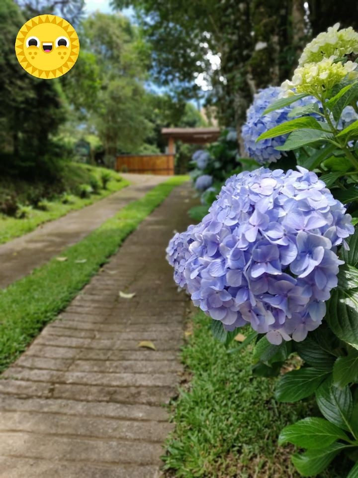 pousada recanto da vitória
