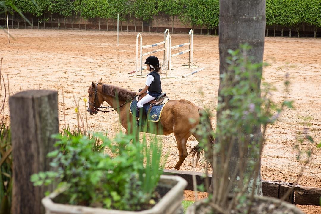 Nutreal Hipismo