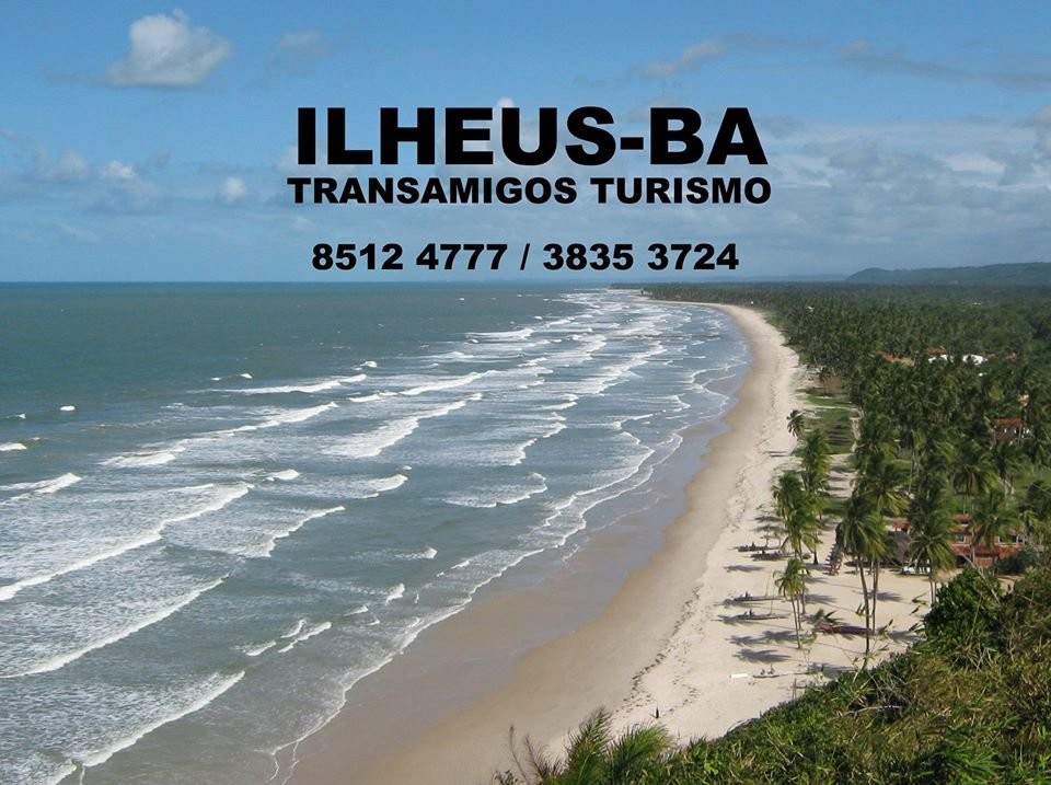 Transamigos Turismo