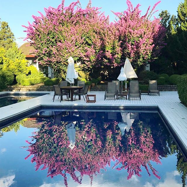 ROOTS RESORT