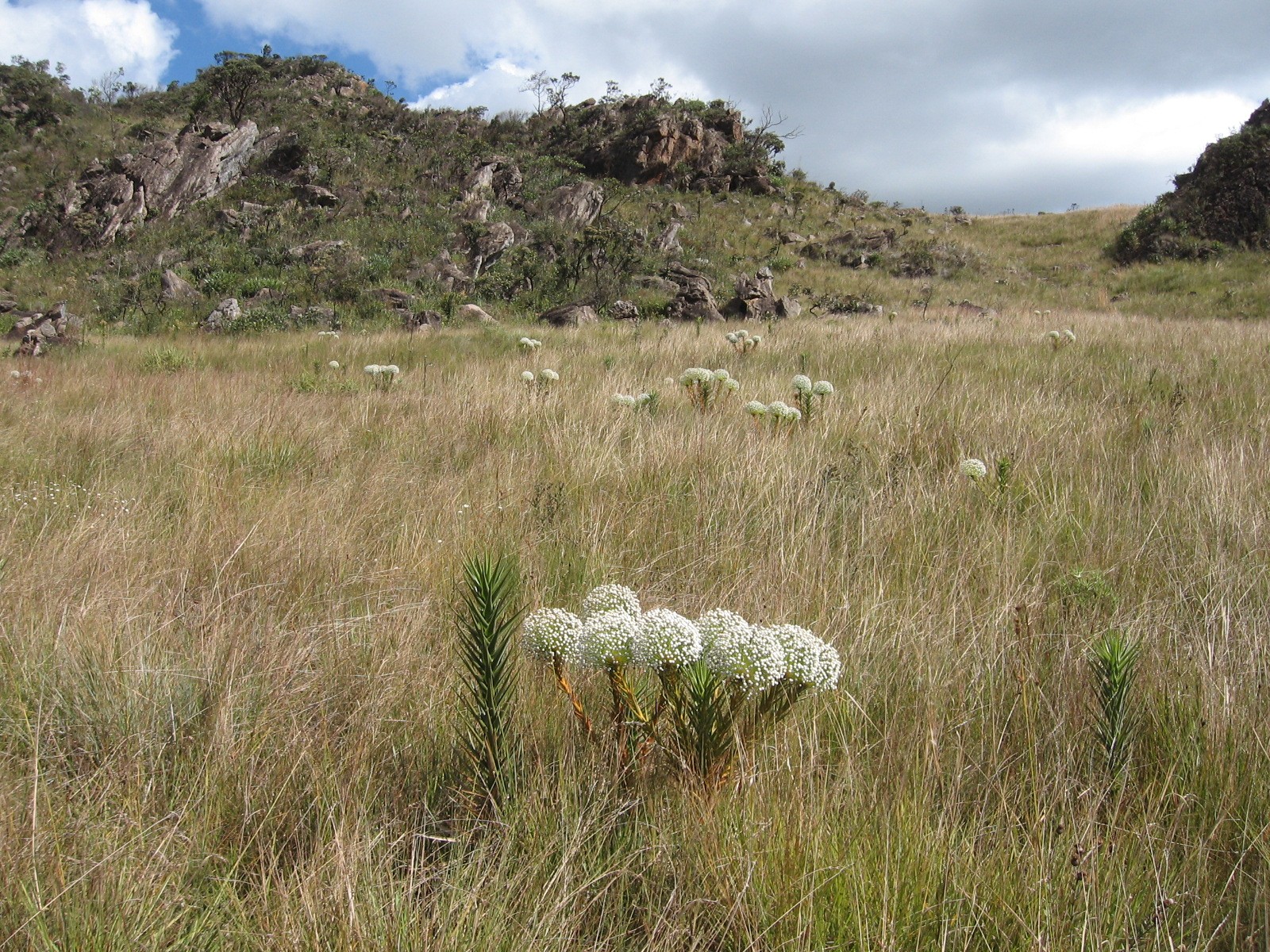 Serra da Calçada