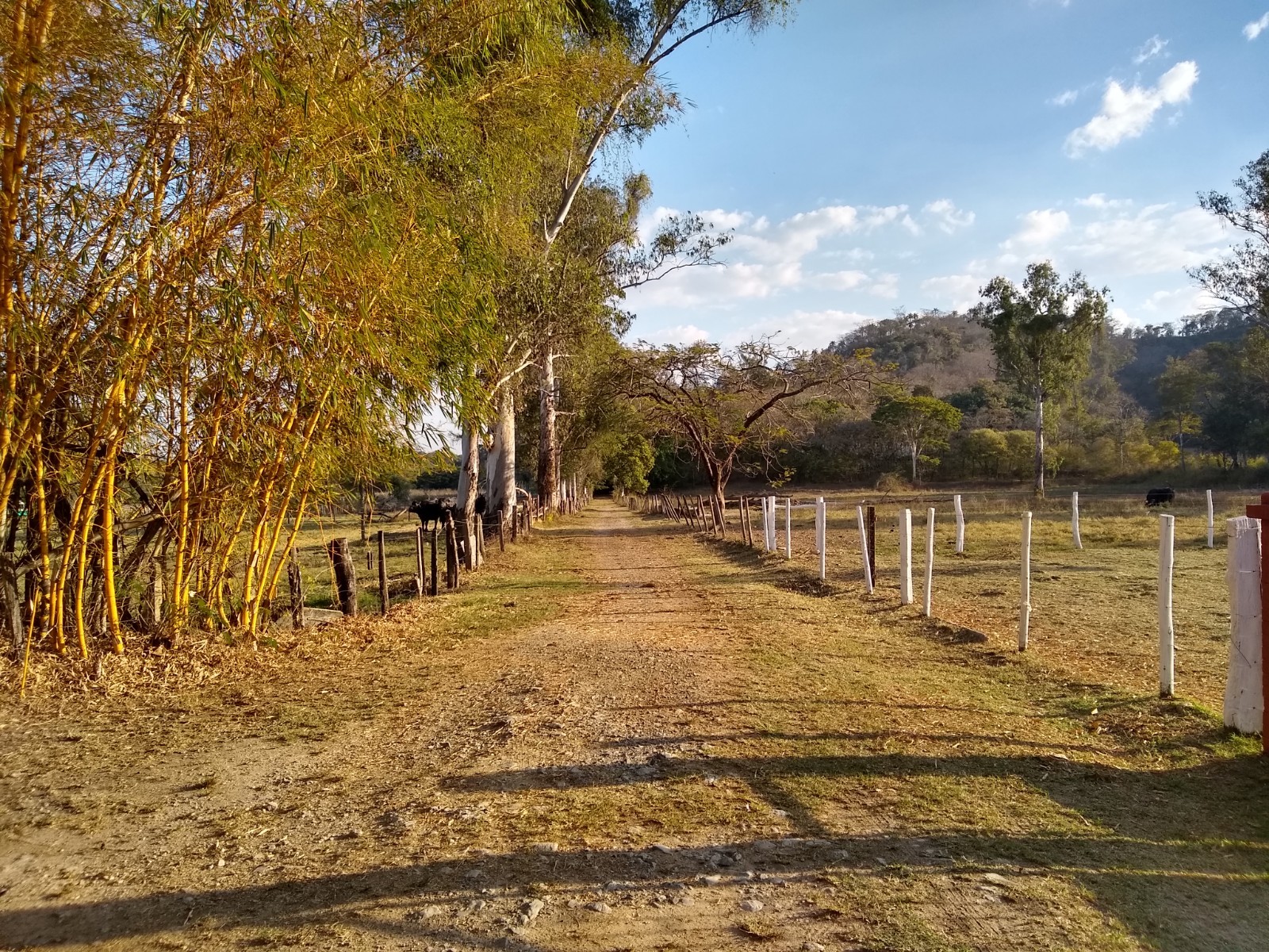 Fazenda Modelo