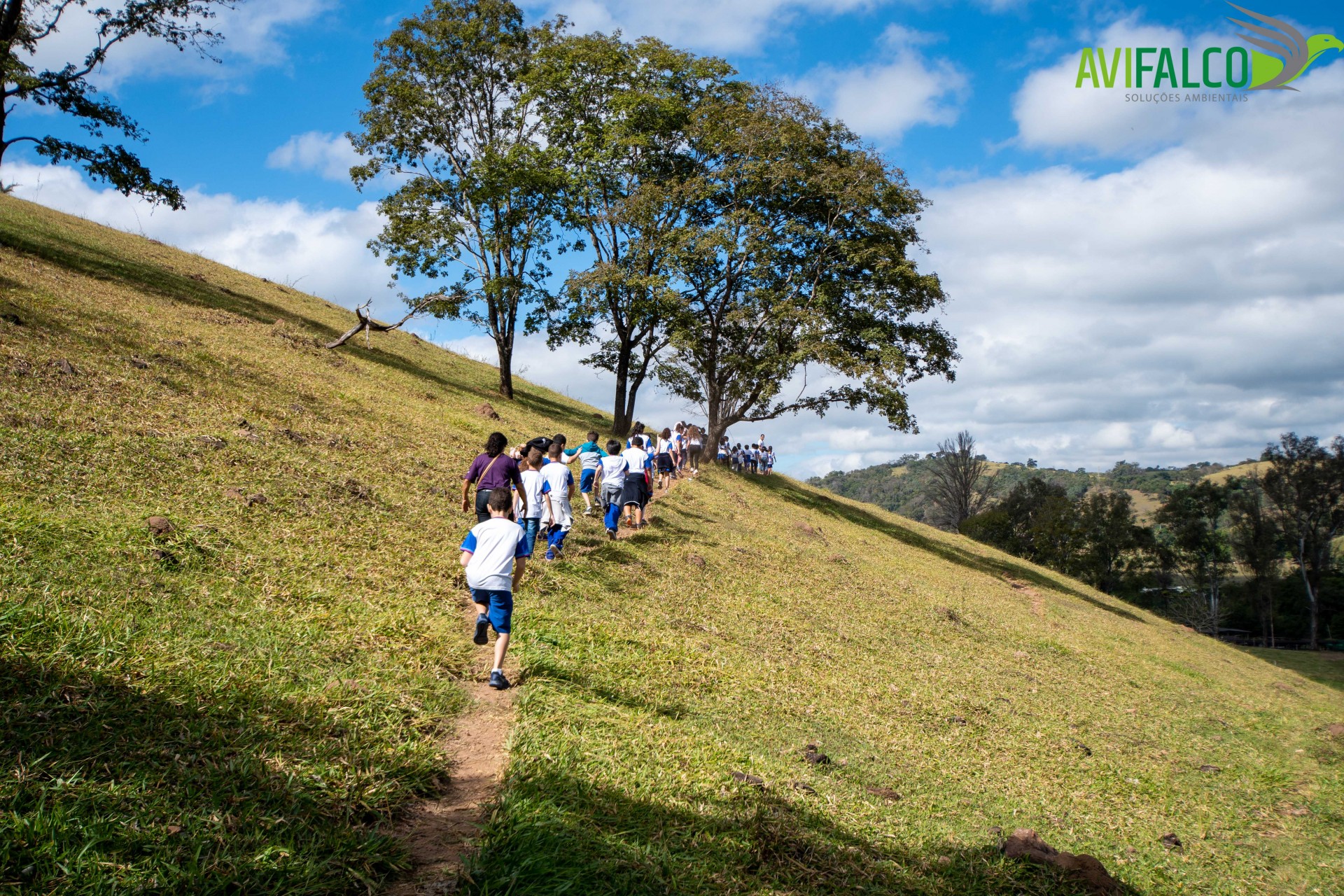 Fazenda Vista Alegre