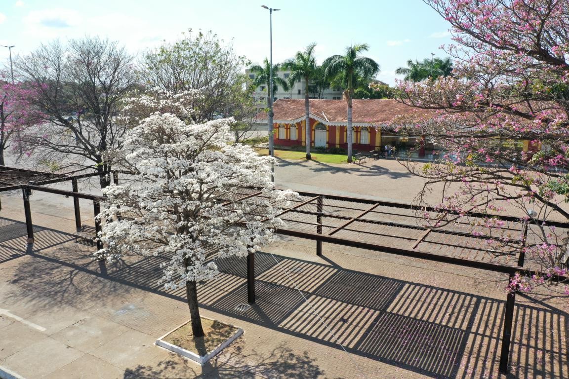 Conjunto Urbano da Praça Central do Brasil 