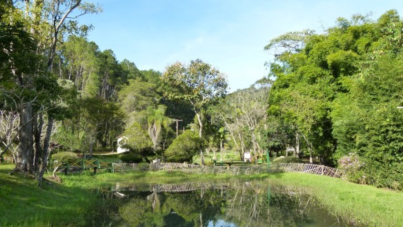 Floresta Nacional de Passa Quatro - Pinho - Antigo IBAMA - ICMBio