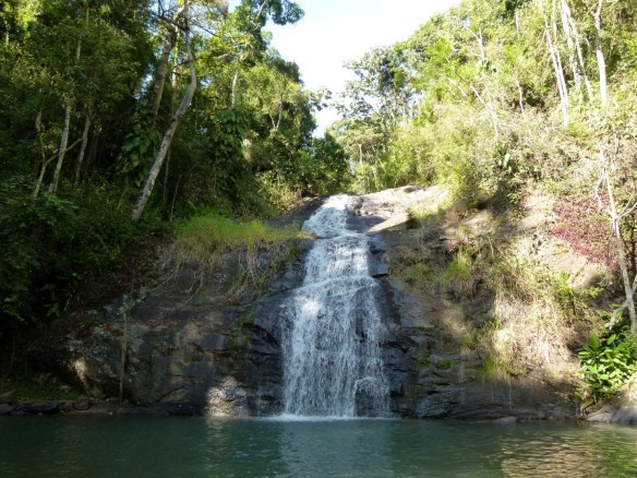 Floresta Nacional de Passa Quatro - Pinho - Antigo IBAMA - ICMBio