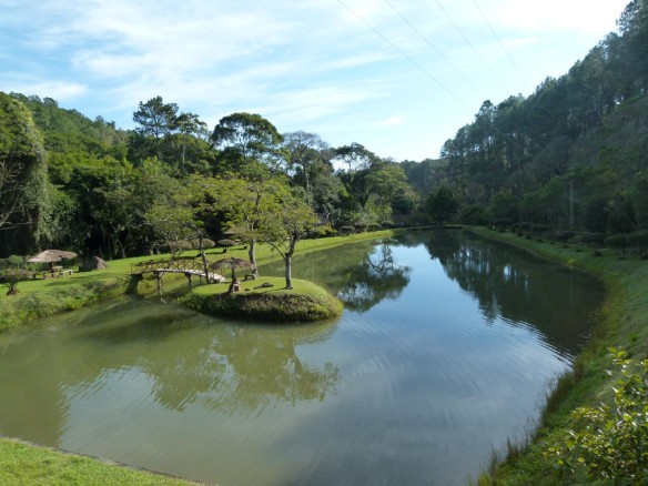 Floresta Nacional de Passa Quatro - Pinho - Antigo IBAMA - ICMBio