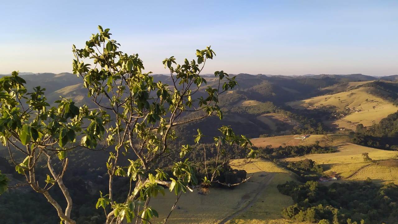 Pedra do Carrasquiá 