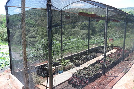 Viveiro de Animais e Plantas do Parque Ecológico