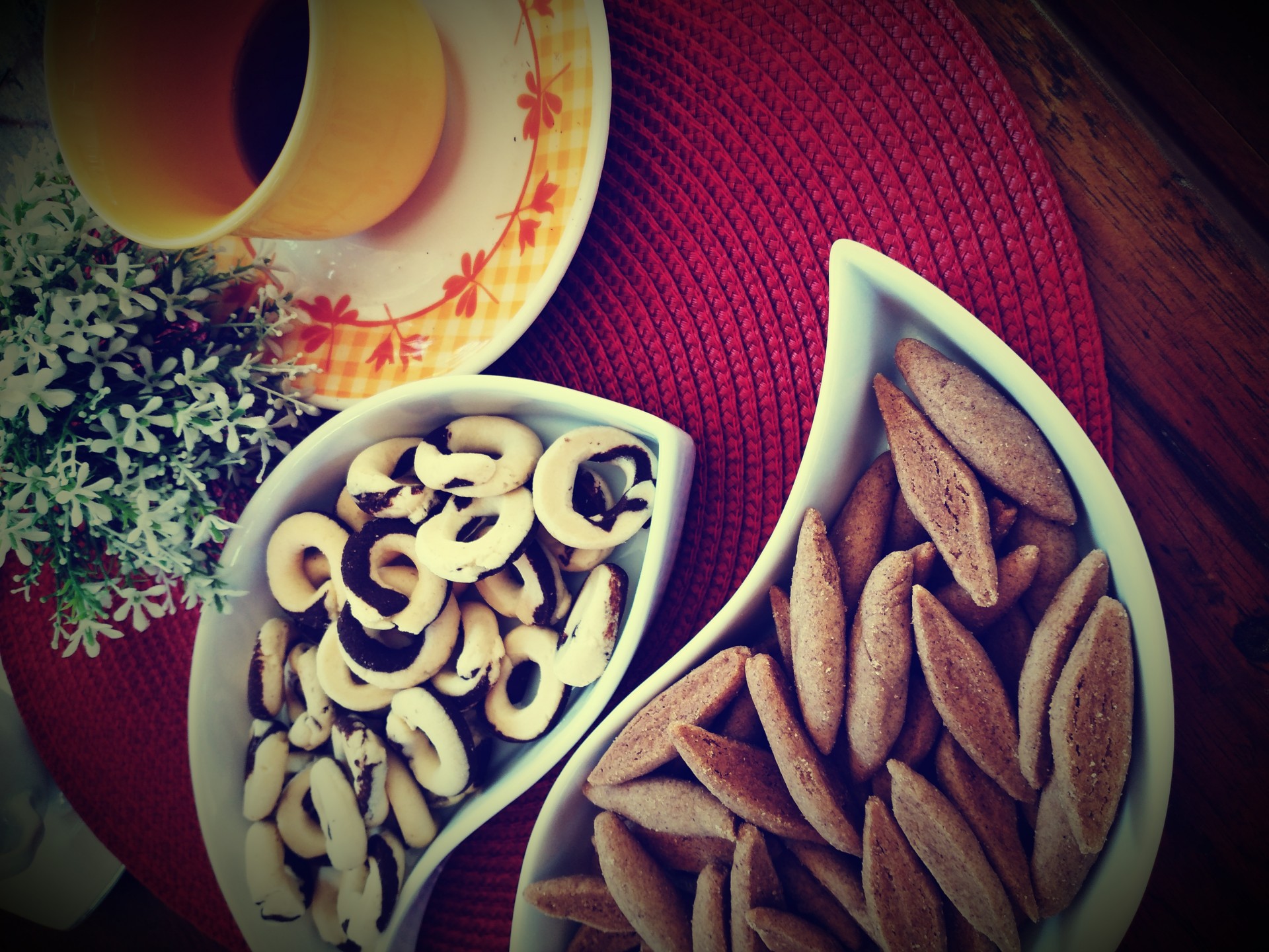 Biscoitos Delicatto Ltda