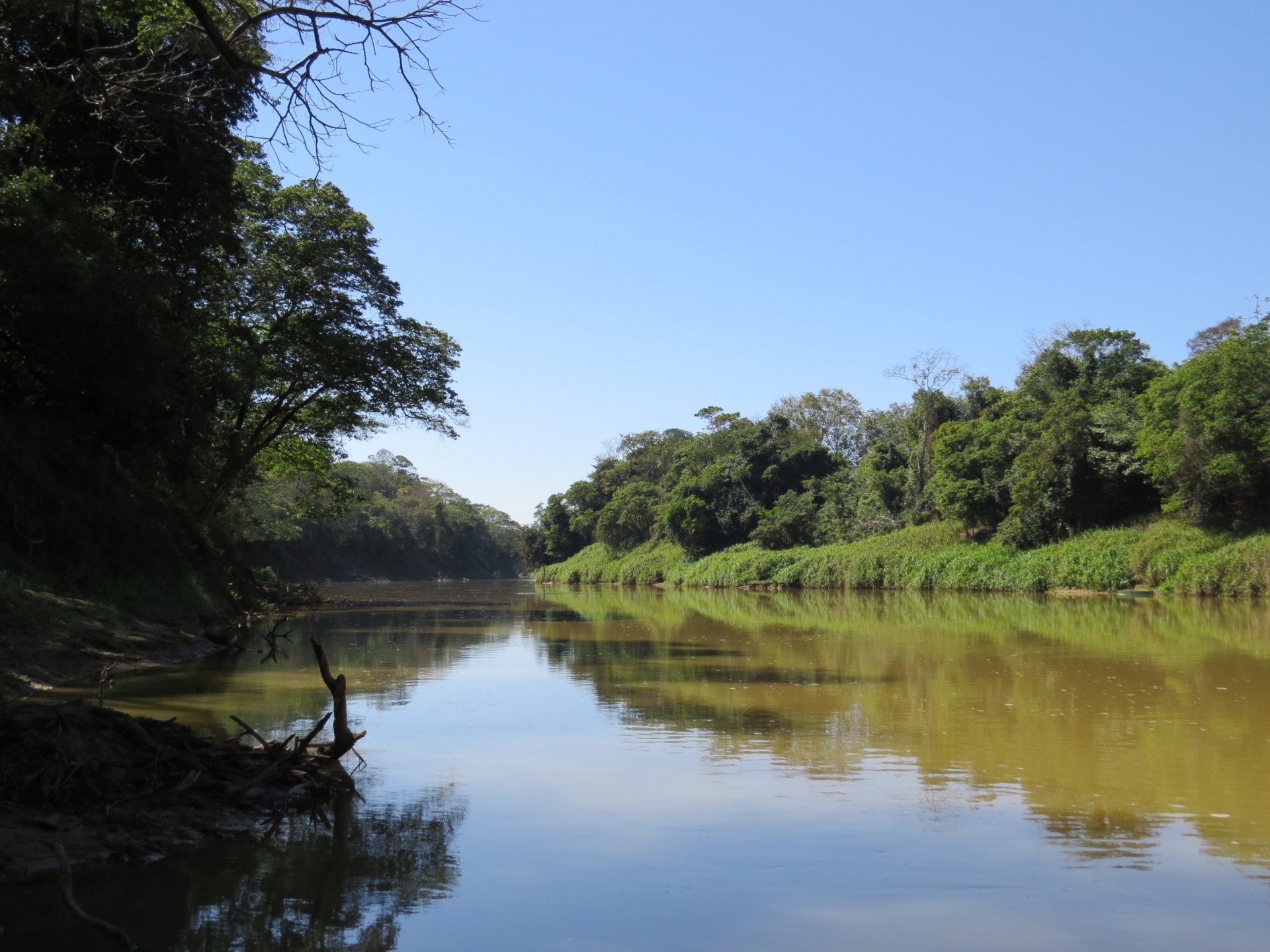 Rio São Francisco