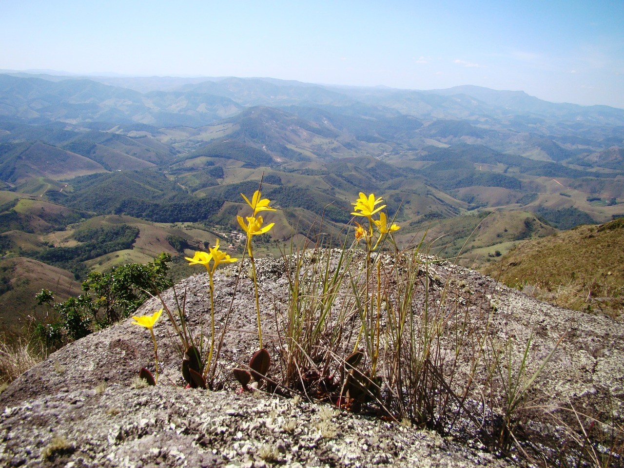 Serra das Flores 