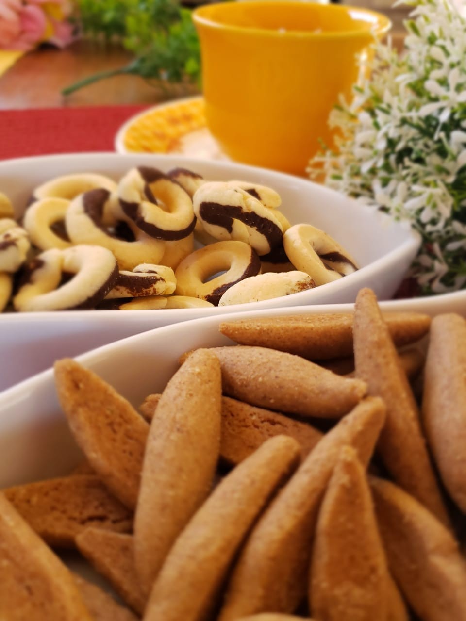 Biscoitos Delicatto Ltda