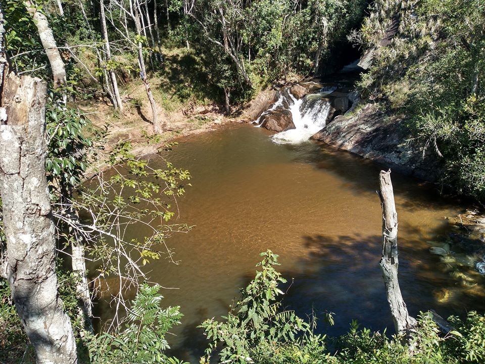 Parque Municipal do Taboão