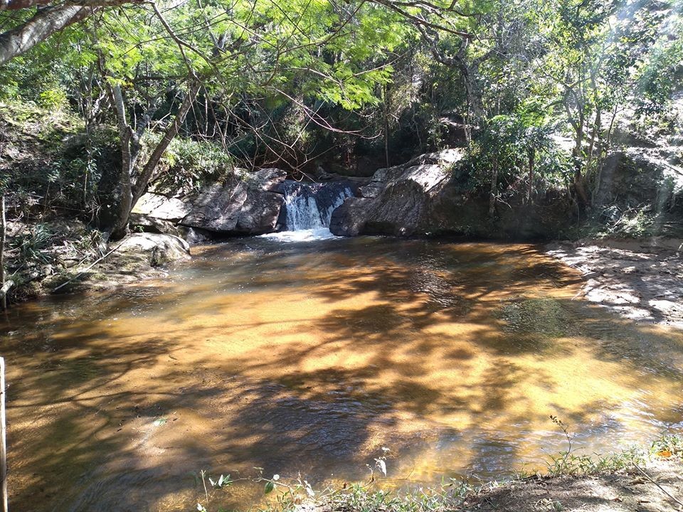 Parque Municipal do Taboão