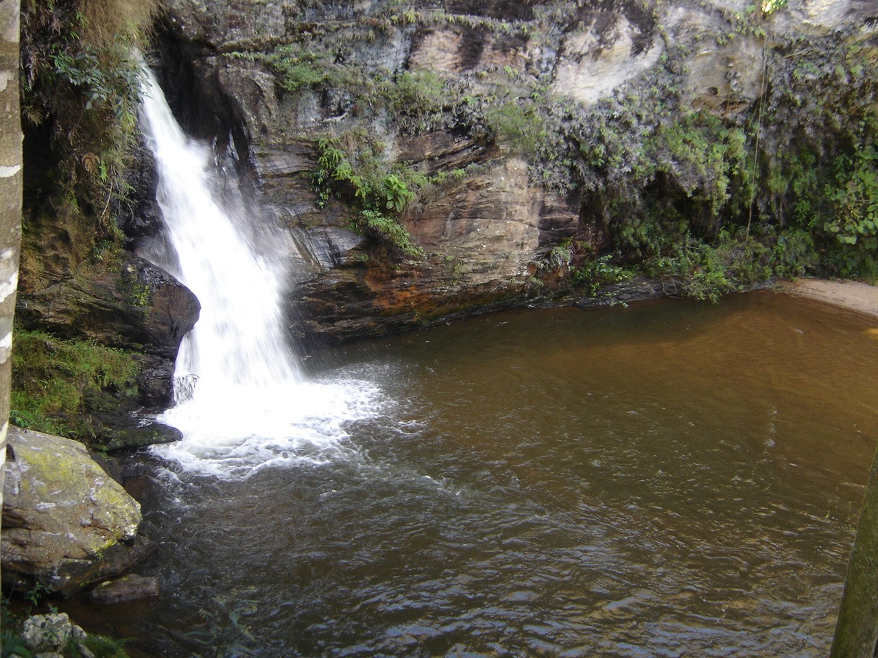 Parque Municipal do Taboão