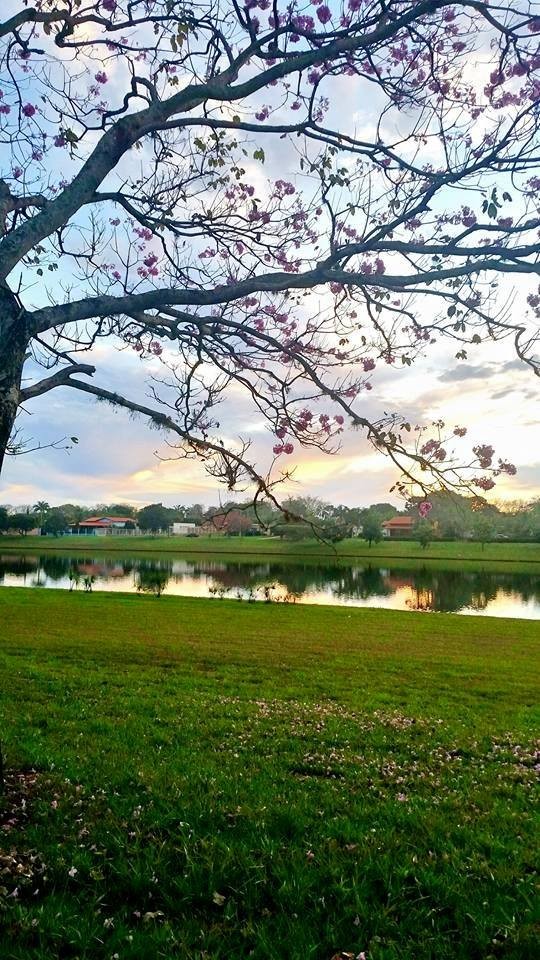 Lago da Vila Residencial de Planura