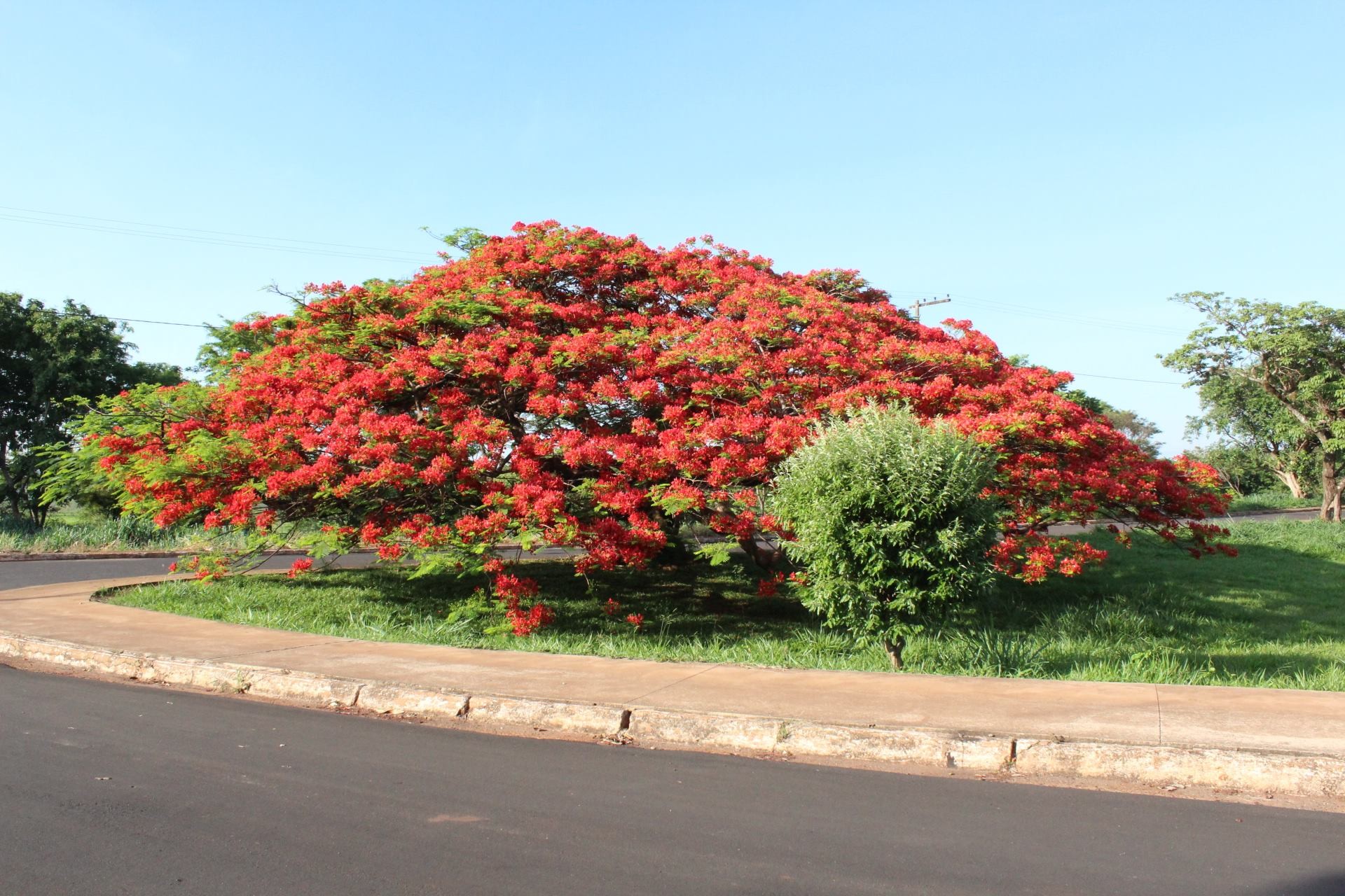 Lago da Vila Residencial de Planura