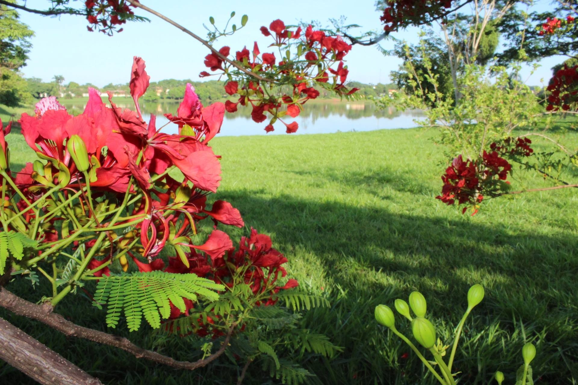 Lago da Vila Residencial de Planura